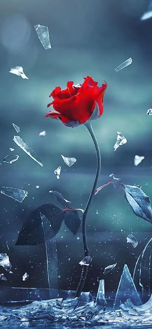 iphone手机壁纸,苹果壁纸,安卓壁纸,iphonex壁纸,iphone13壁纸,全面屏