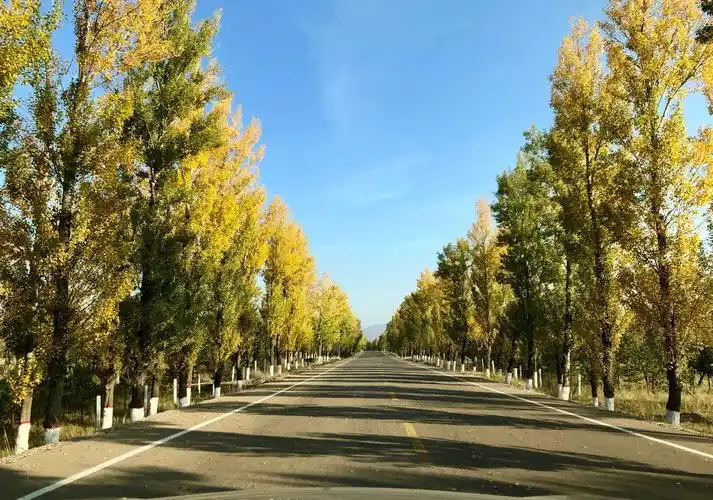 秋天的记忆之——雁北