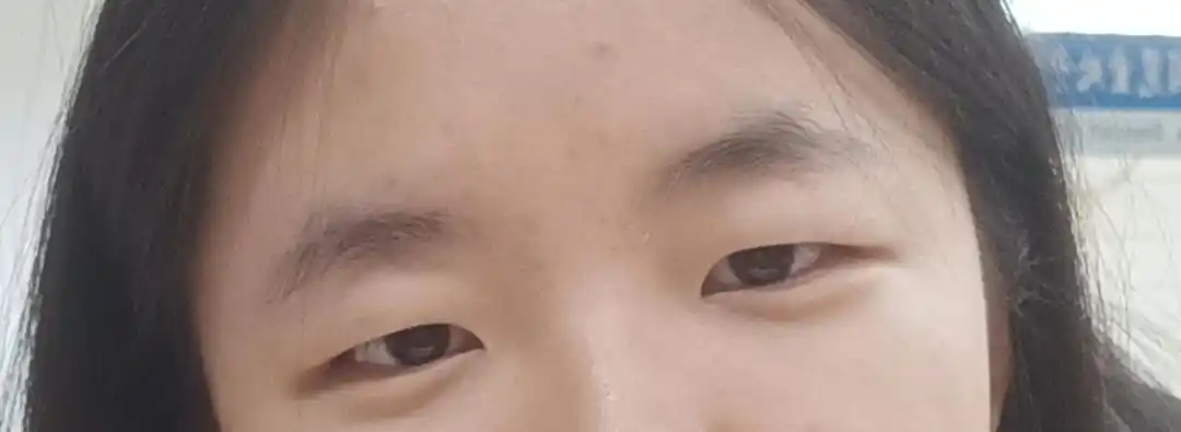 求单眼皮肿眼泡而且下垂眼眼妆