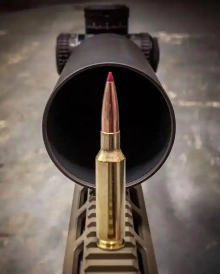 【让子弹飞一会儿】远程精准射击步枪图片大赏