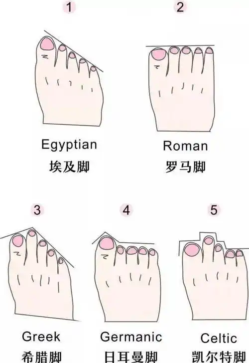 脚型_细带_脚趾头