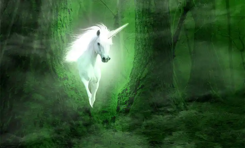 天马星空唯美梦幻壁纸_美丽而神奇的动物