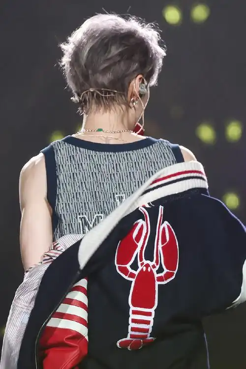 鹿晗演唱会背影图##鹿晗三巡