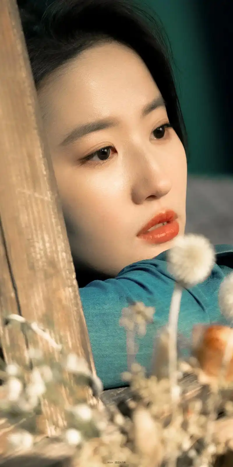 刘亦菲壁纸已开放下载.#去有风的地方 #刘亦菲 #壁纸 - 抖音