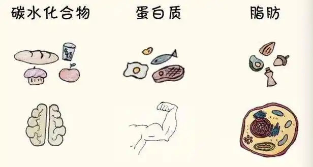 亚博ag真人(中国)官方网站ios/安卓通用版/手机app下载