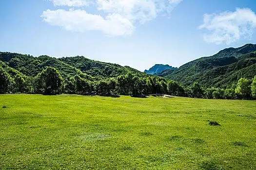 玉渡山,高山草甸,草地
