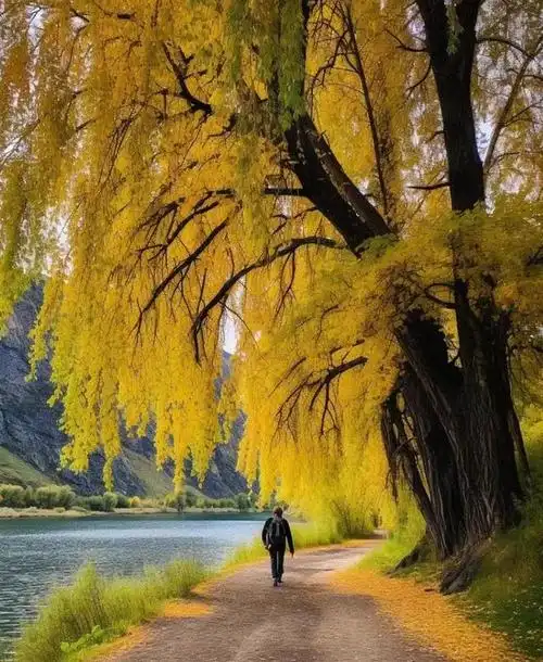 这湖泊能够永远保持原有的美丽,让更多的人能够欣赏到这里的风景