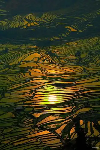 一组图告诉你,这就是中国美!