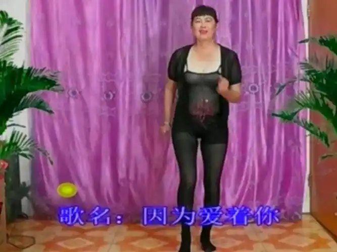 美多多广场舞 原始视频画质极低 只能修到现在效果 技术有限 去片头尾