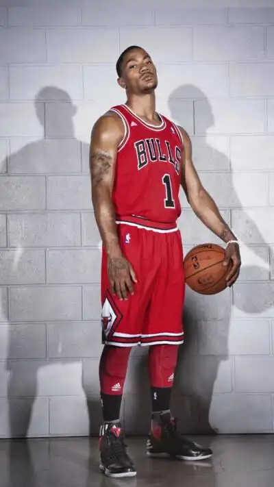 一号罗斯 - 堆糖,美图壁纸兴趣社区