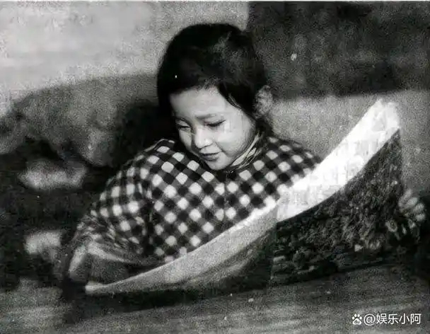 周涛:从"央视一姐"到董事长,她跟董卿走向了两条不同的路