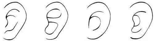 人物耳朵画法简笔画 第1页不同的耳朵简笔画倾听人物简笔画儿童器官