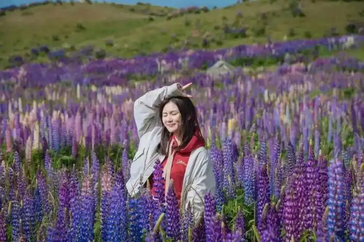 别人家的26岁!这个美女成目前全球最年轻女机长_伍倩玉