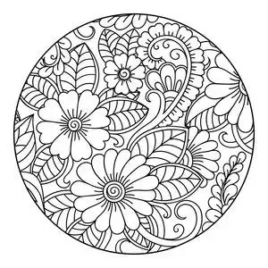 手绘矢量插图.照片