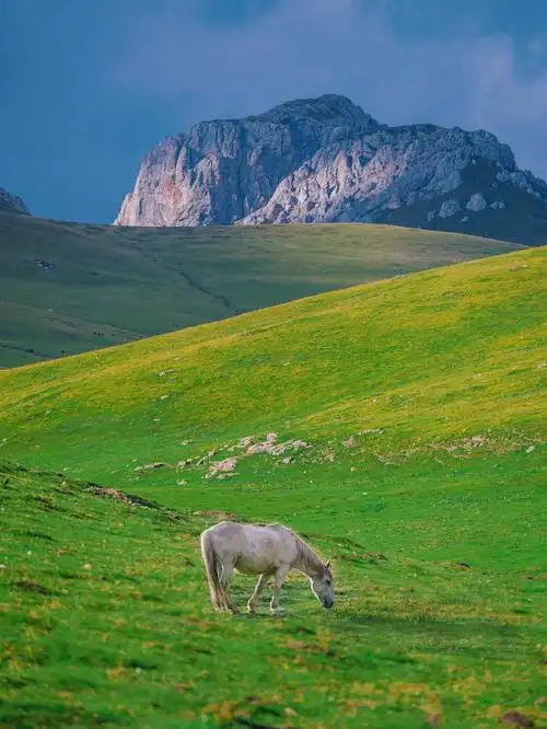 99%的四川人都不知道的小众自驾线路四川若尔盖大草原大家都不