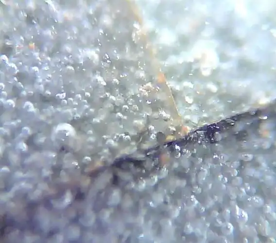 揭开哥窑的神秘面纱