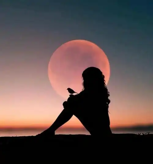 六月最火的伤感文案,超级虐心,99%的人都看哭了