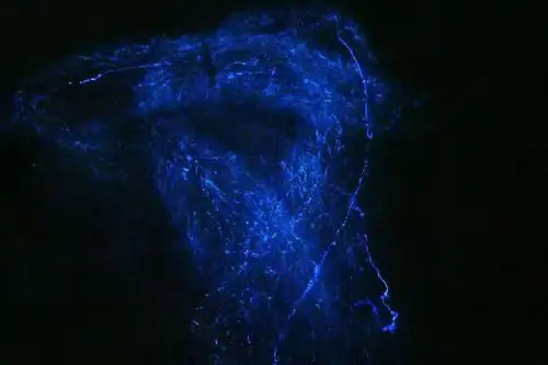 涠洲岛蓝荧光海滩出现时间在哪能看到