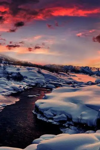 首页 自然与风景 冬天