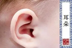 耳朵是什么意思_耳朵怎么读_造句_拼音