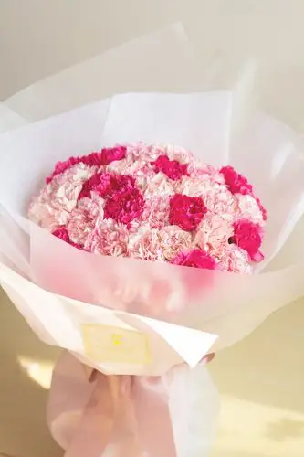 【母亲节·温柔之选】轻盈韩式康乃馨大花束