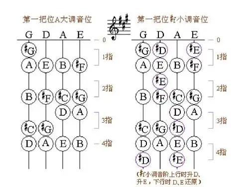 把位图ppt 第5页 (共5页,当前第5页) 你可能喜欢 小提琴入门 钢琴指法