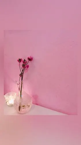 8月3日 21:08   关注  ins 少女心 壁纸 粉色系 收藏