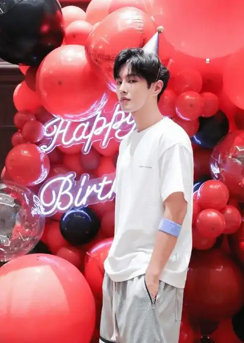 李汶翰27岁生日t恤短裤简单休闲气质干净少年感溢屏