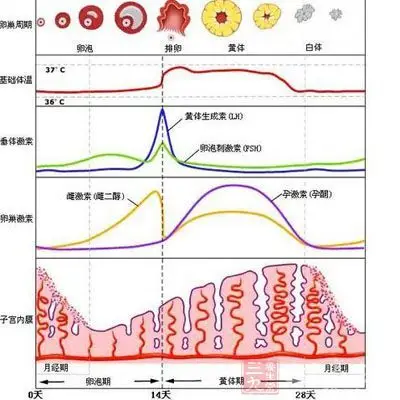 单方妙用老中医60年经验无偿公开排卵期出血