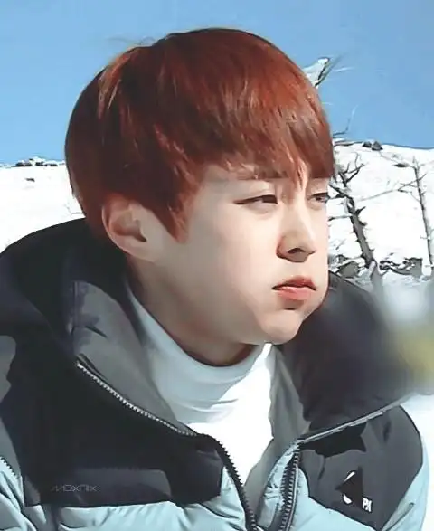 金珉锡(可爱的咋子)