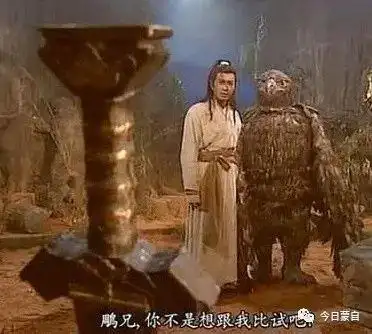 雕兄遇险蒙自杨过出手相救