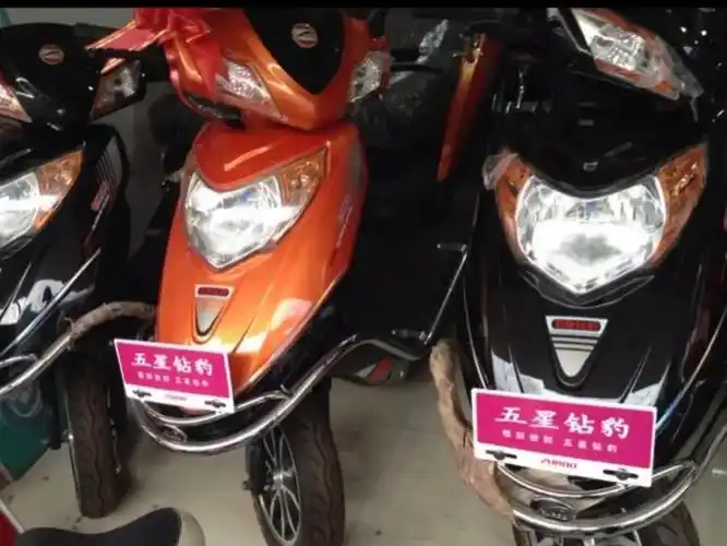 电动车排名前十名是哪些品牌(电动车哪个牌子最好质量最好)-图6