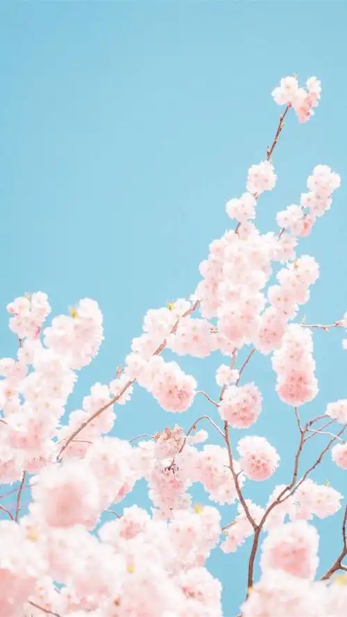 人文/景象/清新/文艺/唯美插画系列/摄影/建筑/星空壁纸