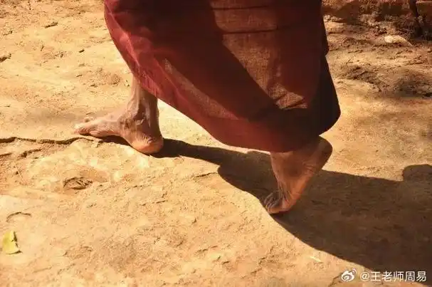 "接地气,寿命长."    "光脚丫,长得壮.