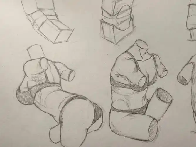 人体结构好难啊!!!