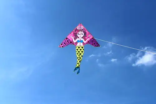 小公主苏菲亚美人鱼儿童卡通女孩公主初学者创意风筝微风易飞 1.