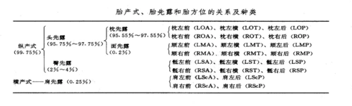 第八版_妇产科学整理_word文档在线阅读与下载_无忧文档