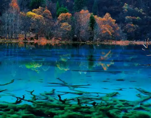 天上仙境驻人间广州九寨沟航线即将启航