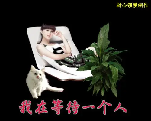 【欣赏】我在等一个人. - 庄子 - 1902917726的博客