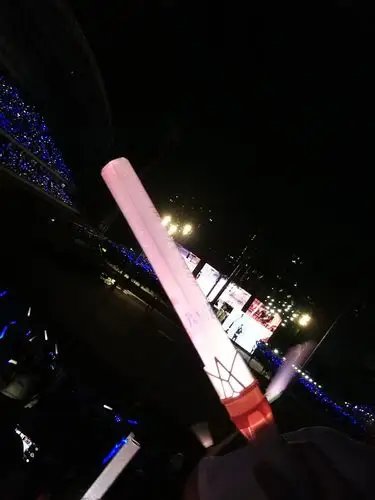 内娱绝美应援棒提名