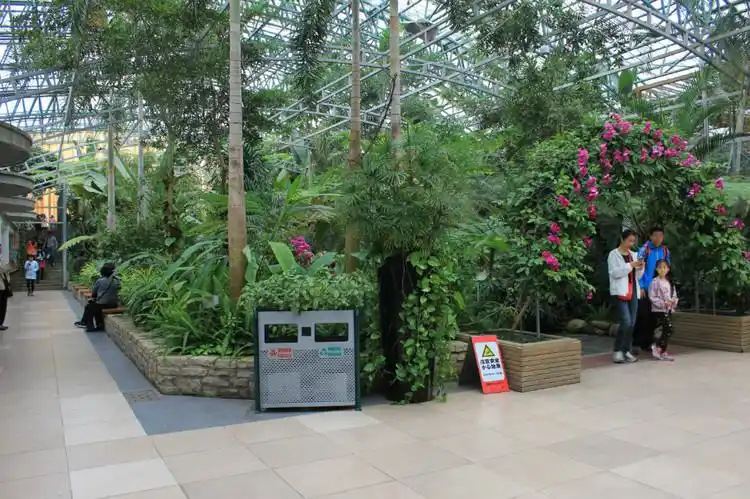 深圳东部华侨城之二:四季植物馆(摄影)