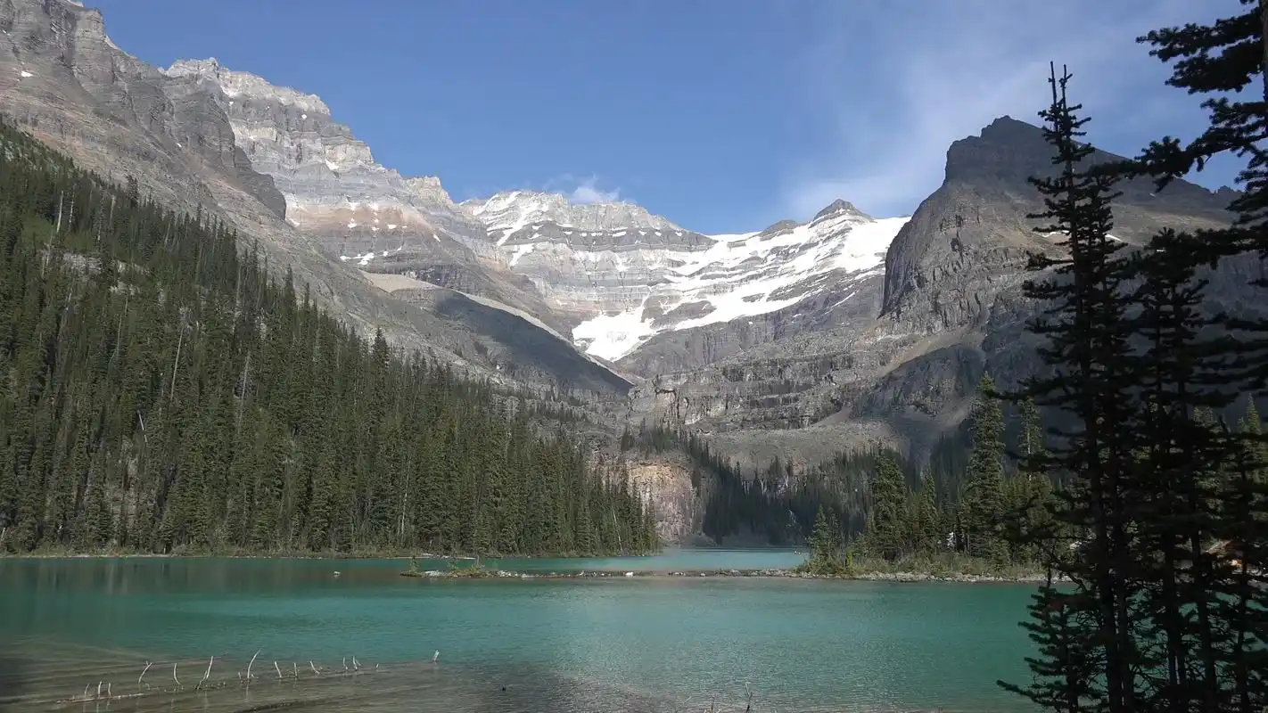 看看风景|第一百二十期