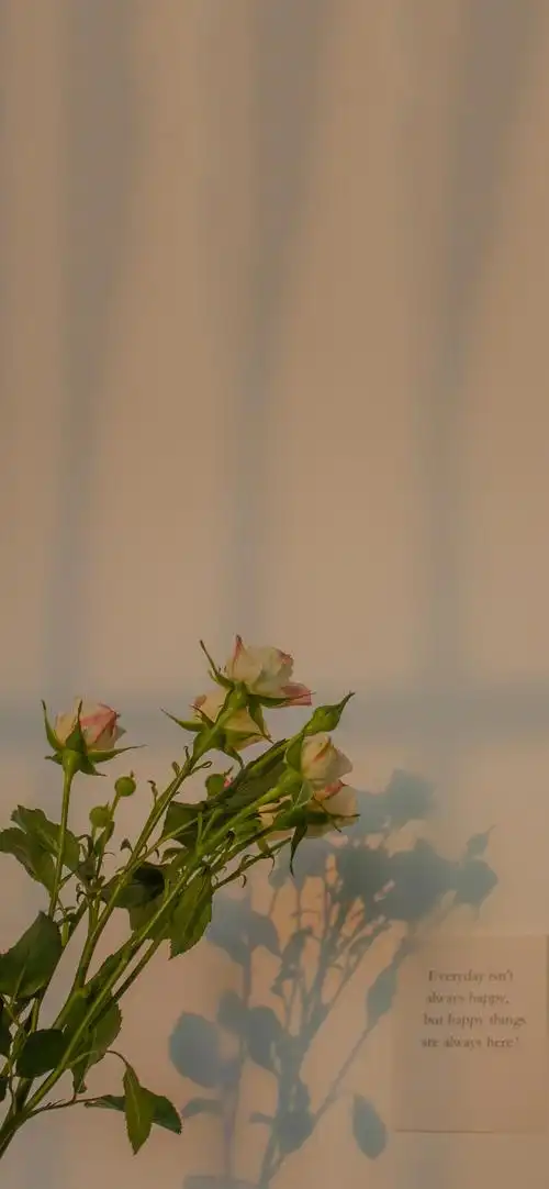 复古壁纸风景高级感简约长安