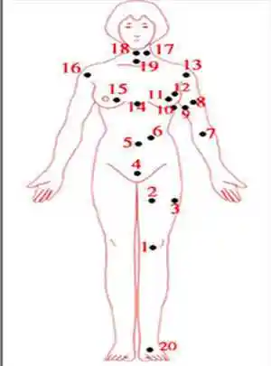 女人全身痣相图解