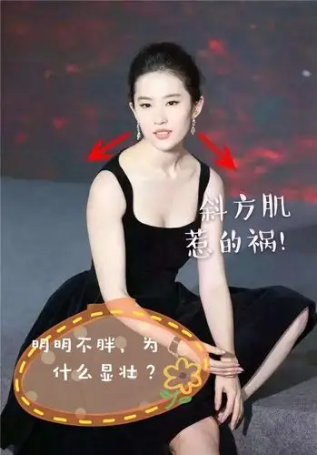 其实大家对斜方肌这个概念也应该十分熟悉了,刘亦菲的_圈子-新氧美容