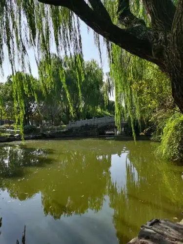 随手拍(一四三)泗泾老街在翻新 泗泾公园风景好