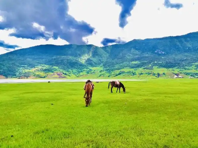 丽江这些最美写生地,惊艳你的画板!_文旅丽江
