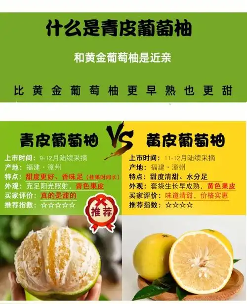 青皮和黄皮葡萄柚是一个品种吗