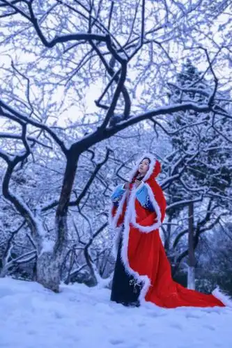 寒梅冲雪领春回 一袭红衣霂倾城