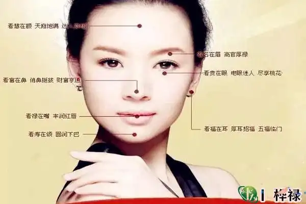 面相 第11页 - 桦禄易学网